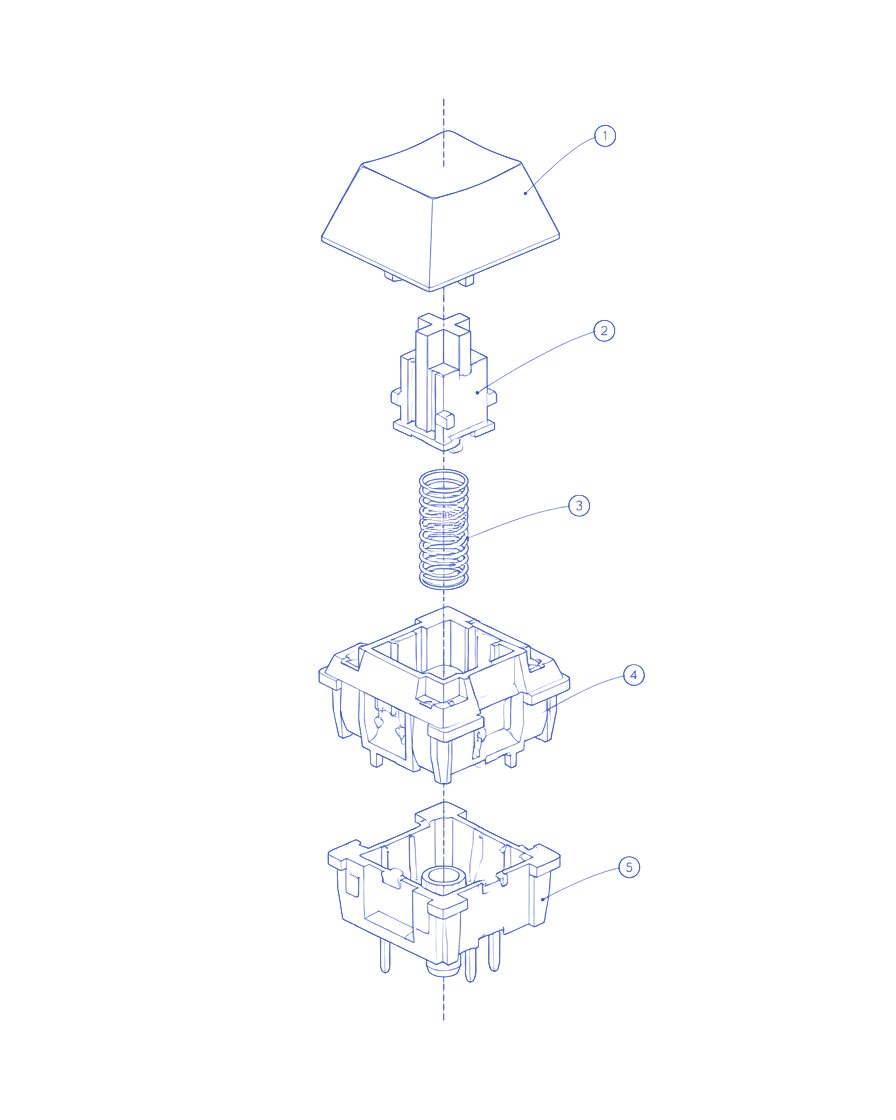 Exploded technical sketch of a mechanical keyboard switch